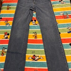 Truth & Triumph Straight Light Wash Jeans - Light Blue